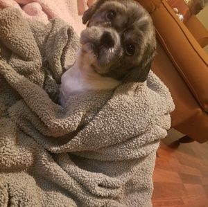 Meet your Posher, Belle